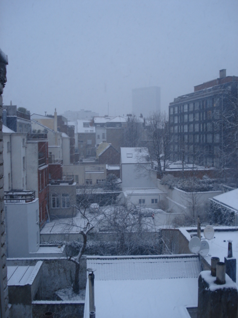 gal/2007-02 neige sur Bruxelles/DSC00568.JPG